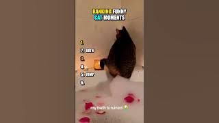 Top 5 Funniest Cats 😹🐾 #cat #ranking #fail #funny #pets #animals #cute